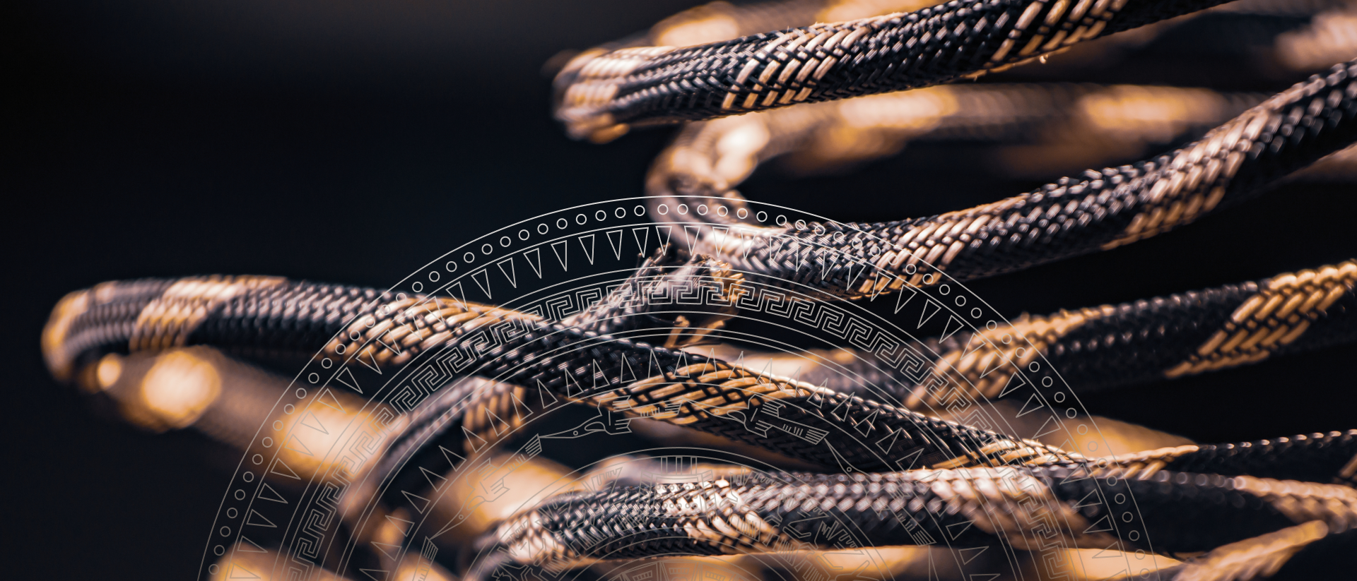 Tự hào sản phẩm của người An Nam